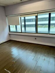 United House (D9), Office #572596491
